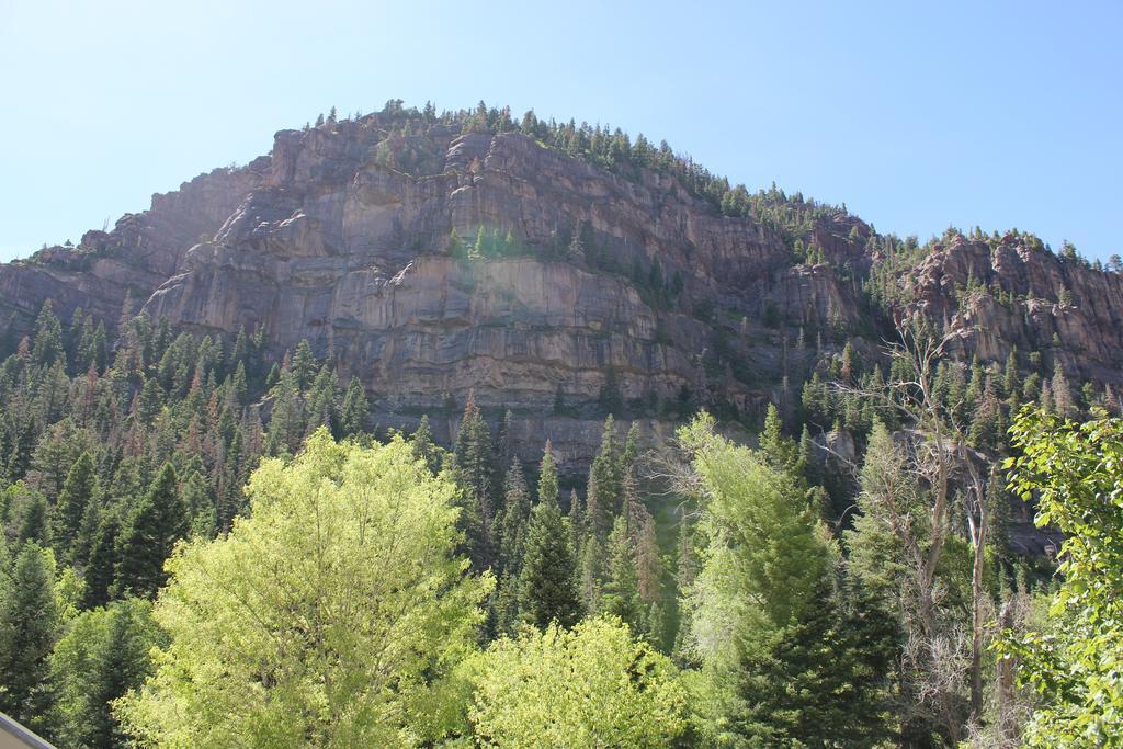 Black Bear Manor Ouray Dış mekan fotoğraf